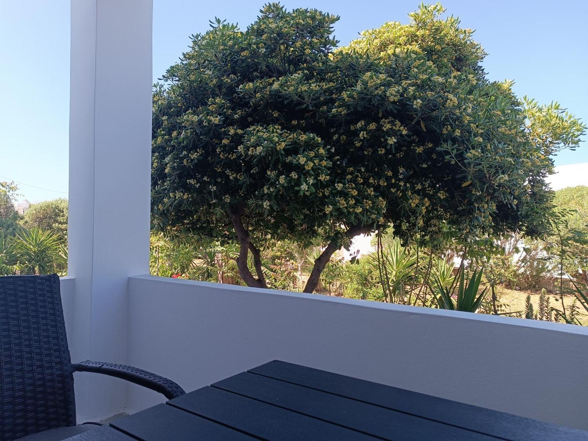 Apanema Paros Apartment Naousa  Room photo